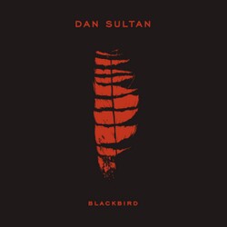 Dan Sultan - The Same Man